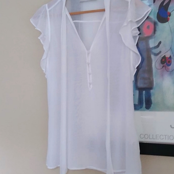 Abercrombie& Fitch chiffon flutter sleeve blouse - Picture 1 of 4